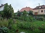 Třibřichy
